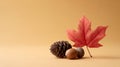 Autumn still life composition with maple leaf, pine cone, and acorns Royalty Free Stock Photo
