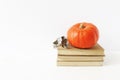 Autumn still life composition. Vintage scene with orange pumpkin and eucalyptus branch on old pile of books laying on