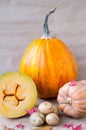 Autumn still life with a crop of vegetables : pumpkin, potatoes with maple leaves