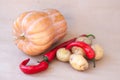 Autumn still life with a crop of vegetables : pumpkin, potatoes and red pepper