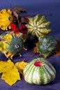 Autumn still life. Decorative green striped pumpkin with a stuck red leaf in the foreground, with fallen leaves, pumpkins, berries