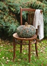Autumn still life with decorative huge and wide green Marina di Chioggia pumpkin on old vintage wooden chair in garden.