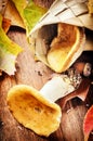 Autumn still life with edible mushrooms (russula) Royalty Free Stock Photo