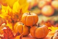 Autumn still life . Fallen maple leaves and orange pumpkins. Autumn harvest Royalty Free Stock Photo