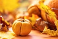 Autumn still life . Fallen maple leaves and orange pumpkins. Autumn harvest Royalty Free Stock Photo