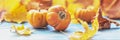 Autumn still life . Fallen maple leaves and orange pumpkins. Autumn harvest Royalty Free Stock Photo