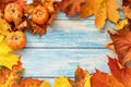 Autumn still life . Fallen maple leaves and orange pumpkins on a wooden blue background. Autumn harvest Royalty Free Stock Photo