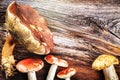 Autumn still life with forest mushrooms Royalty Free Stock Photo