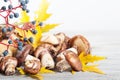 Autumn still life with forest mushrooms Royalty Free Stock Photo