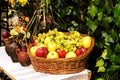 Autumn still life of fruit in a basket and a jug of wine Royalty Free Stock Photo