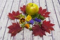 Autumn still life. garden Apple, red autumn maple leaves and flowers on light tree background Royalty Free Stock Photo
