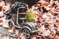 Autumn still life grapes in a wooden car on a background of autumn leaves Royalty Free Stock Photo