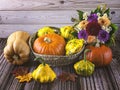 Autumn still life with a harvest of ripe pumpkins in a straw basket, autumn leaves and a bouquet of chrysanthemums