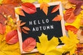 Autumn still life image with colorful foliage and letter board with words Hello Autumn