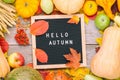 Autumn still life image with rye, pumpkins, apples, ashberry, melon, colorful foliage and letter board with words Hello Autumn