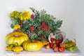 Autumn still life isolated on white background.Harvest fresh vegetables,autumn still life isolated on white background Royalty Free Stock Photo