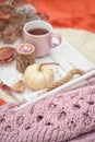 Autumn still life. Knitting and knitting needles, tea Royalty Free Stock Photo