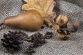 Autumn still life with leaf, nuts, pear and cone on brown fabric