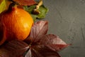 Autumn still life with leaves, pumpkin and nuts Royalty Free Stock Photo