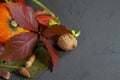 Autumn still life with leaves, pumpkin and nuts Royalty Free Stock Photo