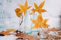 Autumn still life with little glass bottles and yellow leaves. Fall theme photography. Nature