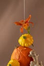 Autumn still life made of pumpkin, ginger and flowing honey. Autumn mood, strengthening the immune system. Royalty Free Stock Photo