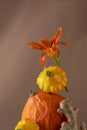 Autumn still life made of pumpkin, ginger and flowing honey. Autumn mood, strengthening the immune system. Royalty Free Stock Photo