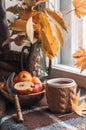 Autumn still life near the window Royalty Free Stock Photo