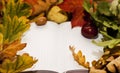 Autumn still life -old books among the autumn leaves and bright sunlight