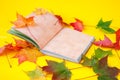 Autumn still life. Opened book and autumn colored maple leaves on a yellow background Royalty Free Stock Photo