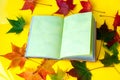 Autumn still life. Opened book and autumn colored maple leaves on a yellow background Royalty Free Stock Photo