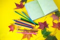 Autumn still life. Opened book, colored pencils and autumn colored maple leaves on a yellow background Royalty Free Stock Photo