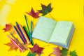 Autumn still life. Opened book, colored pencils and autumn colored maple leaves on a yellow background Royalty Free Stock Photo