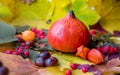 autumn still life. orange pumpkin in yellow and green leaves with physalis, chestnuts and hawthorn. selective focus on the front Royalty Free Stock Photo