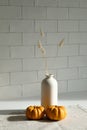 Autumn still life. Orange pumpkins and vase of dry flowers on textile napkin. White brick wall on background. Thanksgiving day Royalty Free Stock Photo