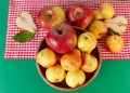 Autumn still life. Pear and apple on green table with red checkered tablecloth. Rustic design Royalty Free Stock Photo