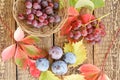 Autumn still life with plums, grapes in wicker basket and leaves Royalty Free Stock Photo