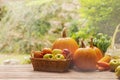 Autumn still life with pumpkin, apples, peach, corn, carrots, basil bush and wicker basket on a wooden table on natural Royalty Free Stock Photo