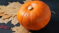 Autumn still life with pumpkin and dry leaves Royalty Free Stock Photo