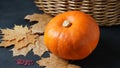 Autumn still life with pumpkin and dry leaves Royalty Free Stock Photo