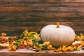 Autumn still life with pumpkin and dry leaves on a wooden background Royalty Free Stock Photo
