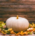 Autumn still life with pumpkin and dry leaves on wooden background with space for your text Royalty Free Stock Photo