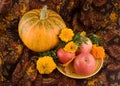 An autumn still life with pumpkin and flowers