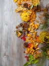 Autumn still life with a pumpkin, mushrooms, chestnuts, red berries, pine needles, cones and fallen leaves Royalty Free Stock Photo