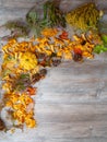 Autumn still life with a pumpkin, mushrooms, chestnuts, red berries, pine needles, cones and fallen leaves Royalty Free Stock Photo