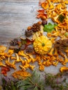 Autumn still life with a pumpkin, mushrooms, chestnuts, red berries, pine needles, cones and fallen leaves Royalty Free Stock Photo