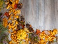 Autumn still life with a pumpkin, mushrooms, chestnuts, red berries, pine needles, cones and fallen leaves Royalty Free Stock Photo