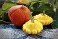 Autumn still life of pumpkin and pattypan squash on green leaf background. Royalty Free Stock Photo