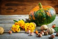Autumn still life: pumpkin, walnuts, marigolds