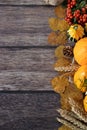 Autumn still life with pumpkin, wheat, berries, and dry leaves on wooden background, top view, vertical shot Royalty Free Stock Photo